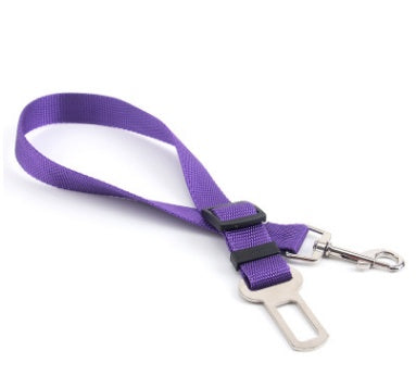 Fixed Strap Polyester Dog Strap Dog Leash Dog Leash Shipping included