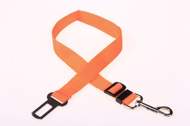 Fixed Strap Polyester Dog Strap Dog Leash Dog Leash Shipping included