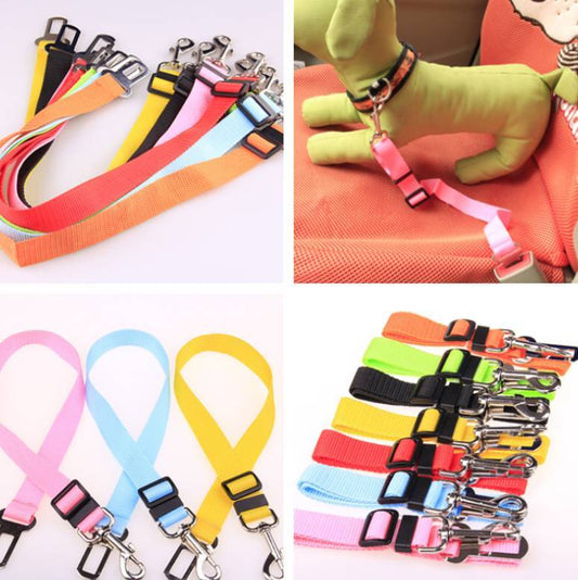 Fixed Strap Polyester Dog Strap Dog Leash Dog Leash Shipping included